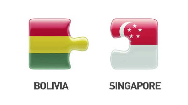 Singapore Bolivia  Puzzle Concept — Stock Photo, Image