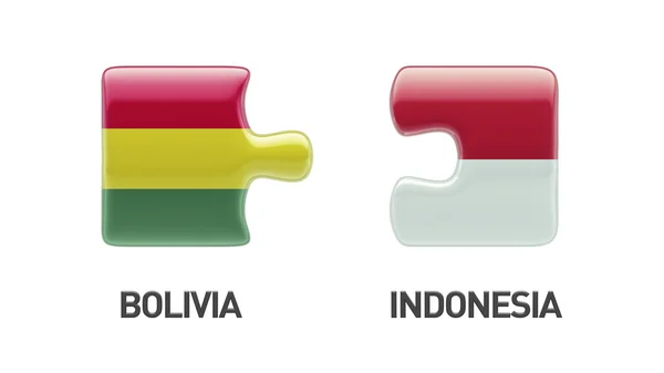 Indonesia Bolivia Puzzle Concepto — Foto de Stock