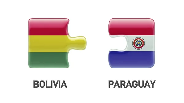 巴拉圭玻利维亚拼图概念 — 图库照片
