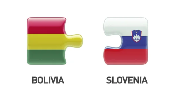 Slovenya Bolivya bulmaca kavramı — Stok fotoğraf