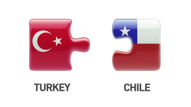 Türkiye Şili bulmaca kavramı