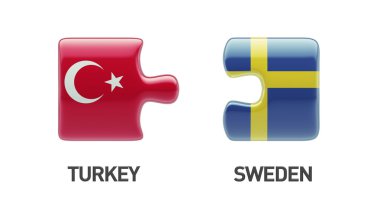 Türkiye'de İsveç bulmaca kavramı