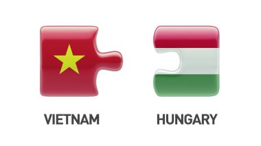 Vietnam Macaristan bulmaca kavramı