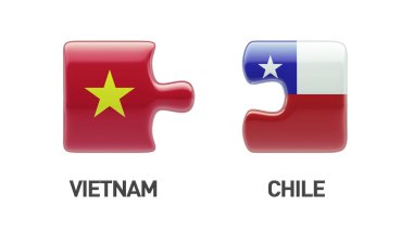 Vietnam Şili bulmaca kavramı