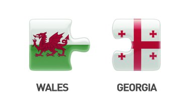 Galler Georgia Puzzle kavramı