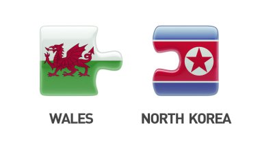 Galler Kuzey Kore bulmaca kavramı