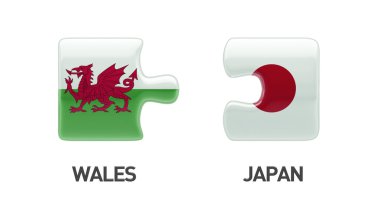 Galler Japonya bulmaca kavramı