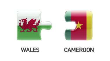 Ülke bulmaca kavramı