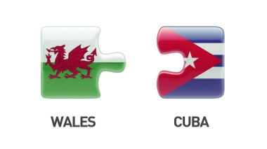 Galler Küba bulmaca kavramı