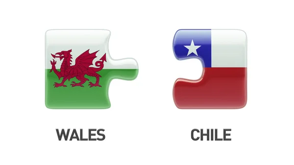 Wales Chili puzzel Concept — Stockfoto