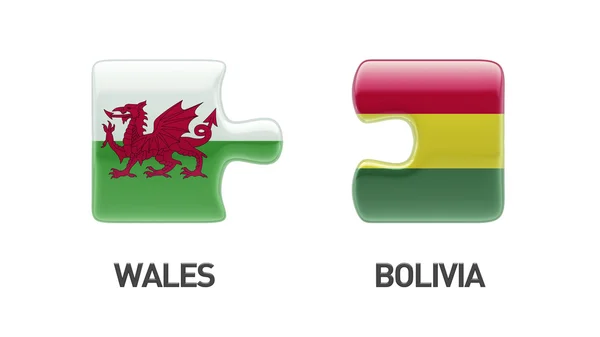 Wales Bolivia puzzel Concept — Stockfoto