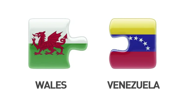 Gales Venezuela Puzzle Concepto — Foto de Stock