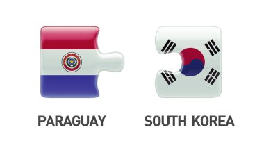 Ülke bulmaca kavramı