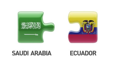 Ülke bulmaca kavramı