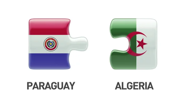 Paraguay Algerije puzzel Concept — Stockfoto