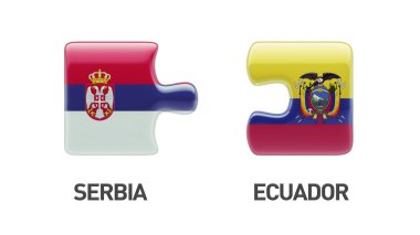 Ülke bulmaca kavramı