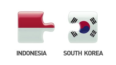 Ülke bulmaca kavramı