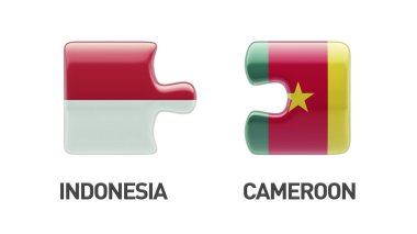 Ülke bulmaca kavramı