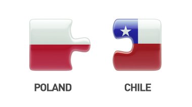Polonya Şili bulmaca kavramı