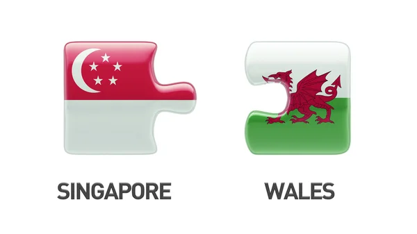 Singapore Wales  Puzzle Concept — Stock Photo, Image
