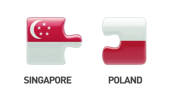 Polen Singapore puzzel Concept — Stockfoto