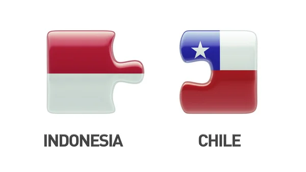 Indonésie Chili Puzzle Concept — Photo