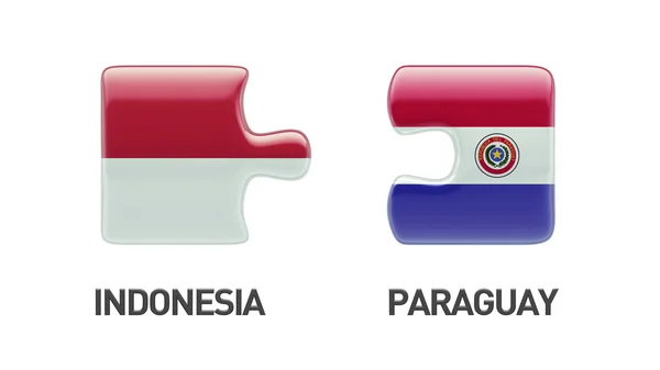 Indonesia Paraguay Puzzle Concepto — Foto de Stock