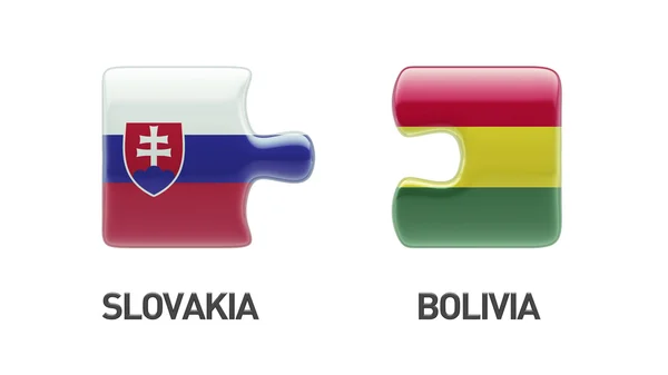 Slovacchia Bolivia Puzzle Concept — Foto Stock