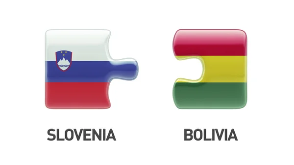 Slovenia Bolivia  Puzzle Concept — Stock Photo, Image