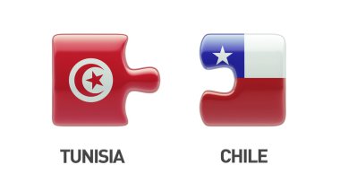 Tunus Şili bulmaca kavramı