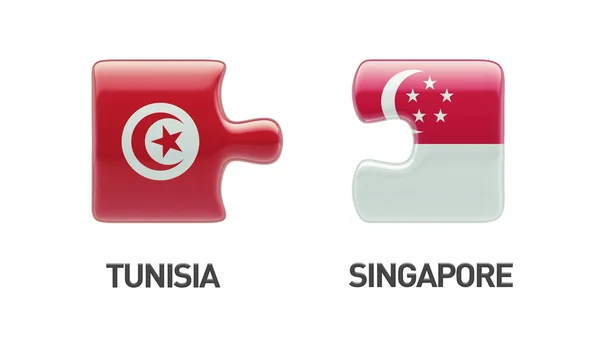 Tunisie Singapour Puzzle Concept — Photo