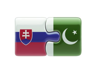 Slovakya Pakistan bulmaca kavramı