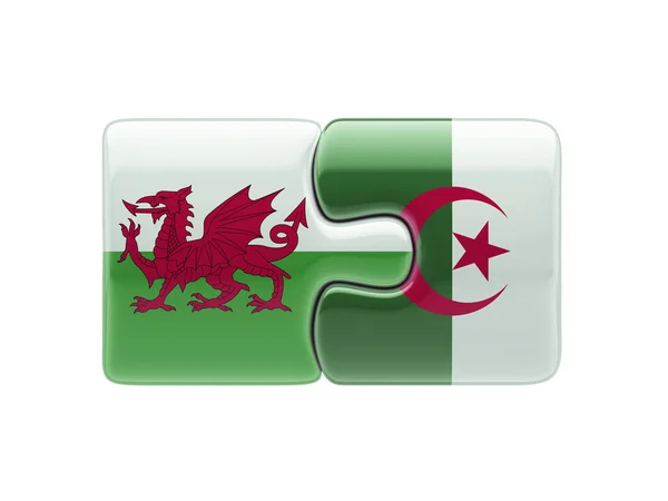 Wales Algeria  Puzzle Concept — Stock Photo, Image