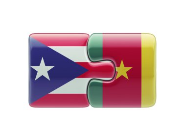 Ülke bulmaca kavramı