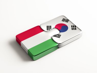 Ülke bulmaca kavramı