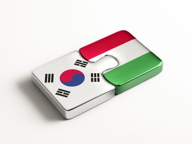 Ülke bulmaca kavramı