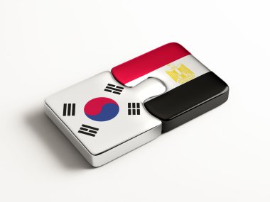 Ülke bulmaca kavramı