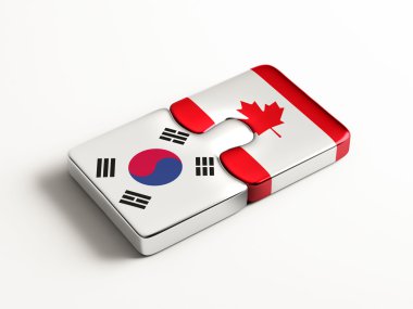 Ülke bulmaca kavramı