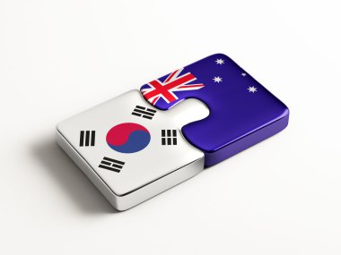 Ülke bulmaca kavramı