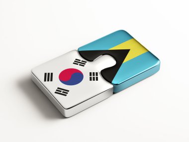 Ülke bulmaca kavramı