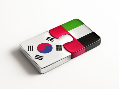 Ülke bulmaca kavramı