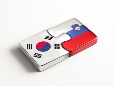 Ülke bulmaca kavramı