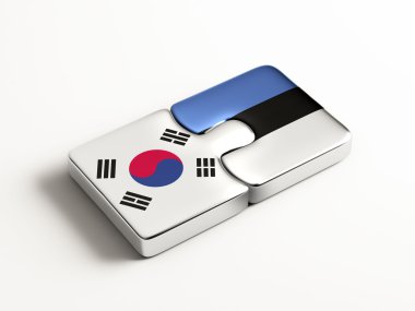 Ülke bulmaca kavramı