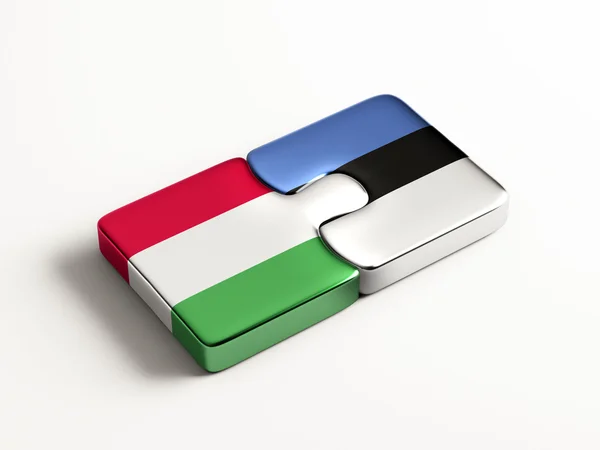 Estland Hongarije puzzel Concept — Stockfoto