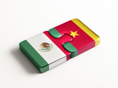 Ülke bulmaca kavramı