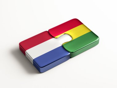 Bolivya Hollanda bulmaca kavramı