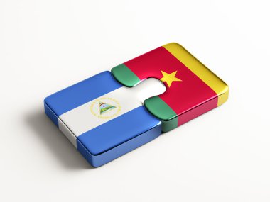 Ülke bulmaca kavramı