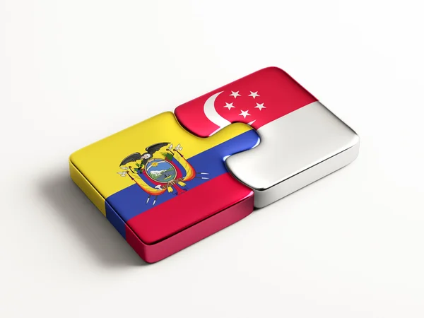 Concetto di Puzzle di Singapore Ecuador — Foto Stock
