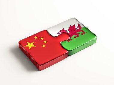 Galler Çin Puzzle kavramı