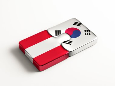 Ülke bulmaca kavramı